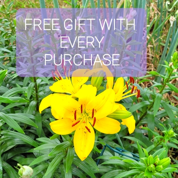 Other - FREE GIFTS